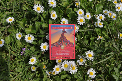 Koleksiyon Kartı Set 2 | (• – – – –) / IV, VII, VIII