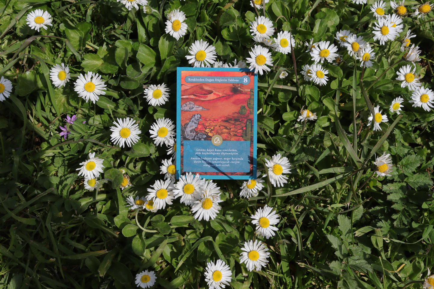 Koleksiyon Kartı Set 2 | (• – – – –) / IV, VII, VIII