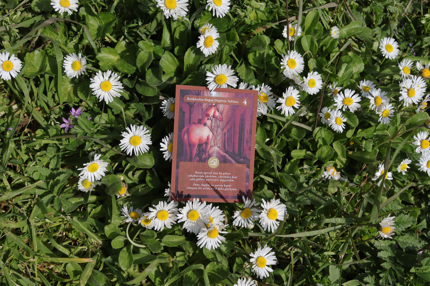 Koleksiyon Kartı Set 2 | (• – – – –) / IV, VII, VIII