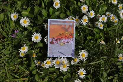 Koleksiyon Kartı Set 3 | (• – – – –) / IX, VIII