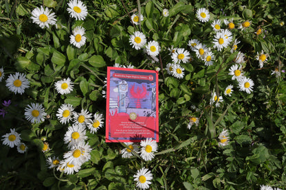 Koleksiyon Kartı Set 3 | (• – – – –) / IX, VIII