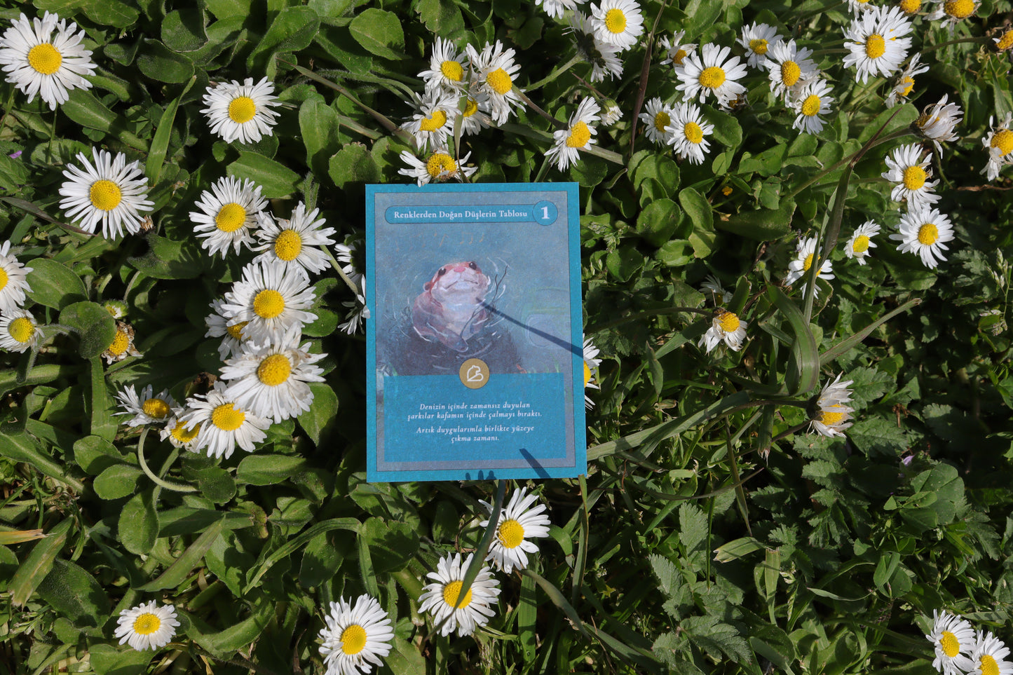 Seramik Kupa | • – – – – /  I